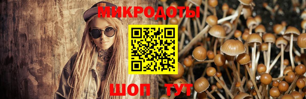 Галлюциногенные грибы мухоморы Набережные Челны