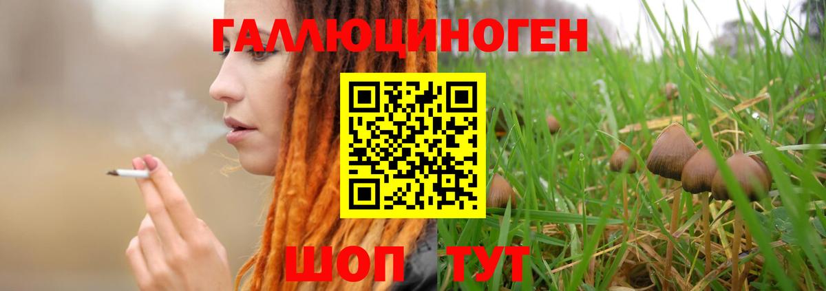 Псилоцибиновые грибы Psilocybine cubensis  Вход с VPN  Набережные Челны 